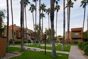 A courtyard with palm trees, a pathway, and modern buildings with balconies. - Sunscape Bonita Old Town Ground Floor Pool/Fitness (Scottsdale)