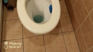 Een badkamer met een toilet, een hygiëneschuimer en een toiletborstel.