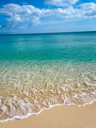 Casa Del Mar ☀️ Villa by Seven Mile Beach 🏖