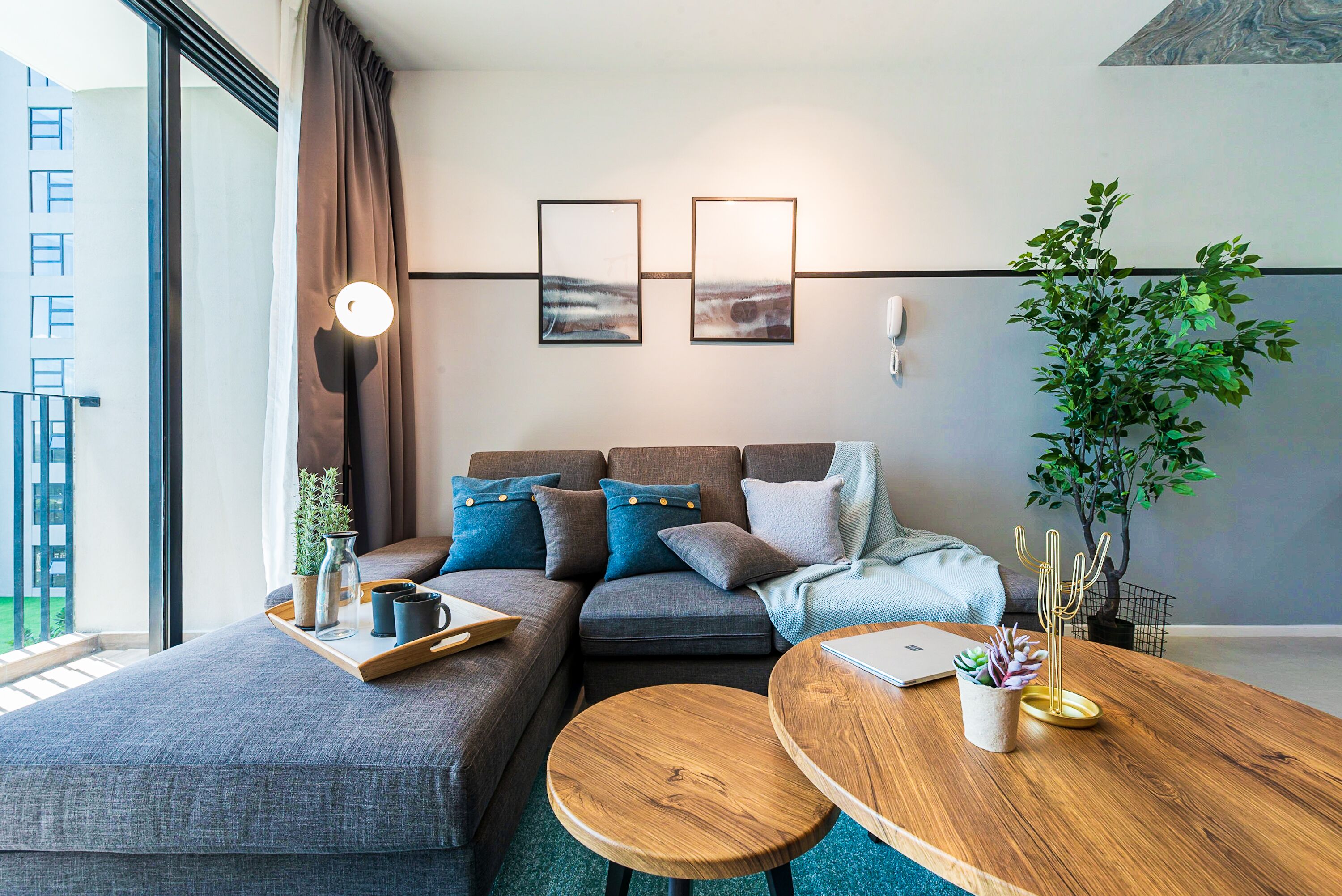 A modern living room with a sofa, a coffee table, and a plant.