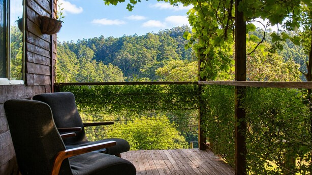 A wooden deck with two chairs, a hanging plant, and a view of a forested hillside. - Top of the Otways the Country Cottage (Barramunga)