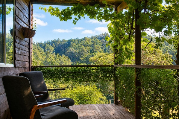 Una terraza de madera con dos sillas, una planta colgante y vistas a una ladera boscosa.