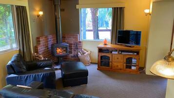 Televisie, een open haard, videospelletjes en een dvd-speler