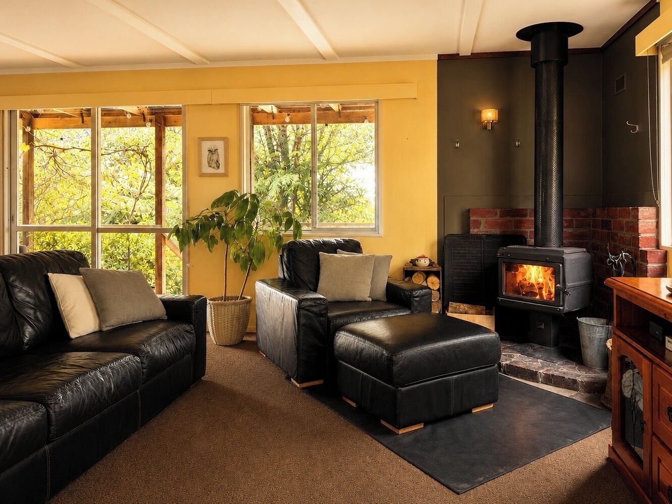 TV, fireplace, video games, DVD player