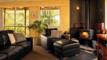 TV, fireplace, video games, DVD player