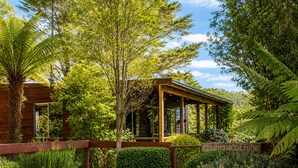 A wooden cabin with a covered porch, surrounded by lush greenery and a sign reading 'CountryCottage'. - Top of the Otways the Country Cottage (Barramunga)