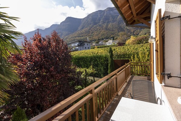 A balcony with a wooden railing overlooking a vineyard and mountains.