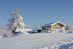 A snow-covered landscape with a wooden cabin and a snow-laden tree.