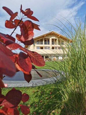 Imagen sin descripción, 2 de 42, botón