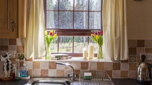 Una cocina con ventana, pileta, escurreplatos y tetera.