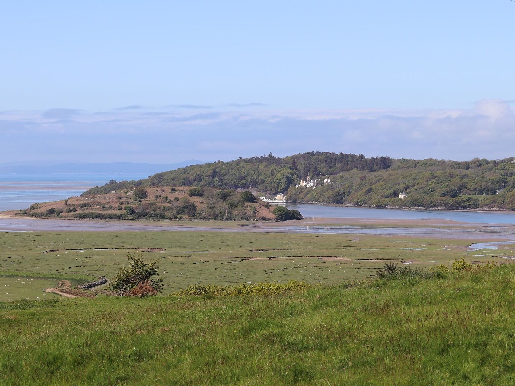 A coastal landscape with a grassy field, a small hill with buildings, and a body of water.