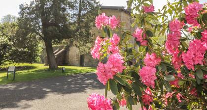 The Coach House - Holmwood