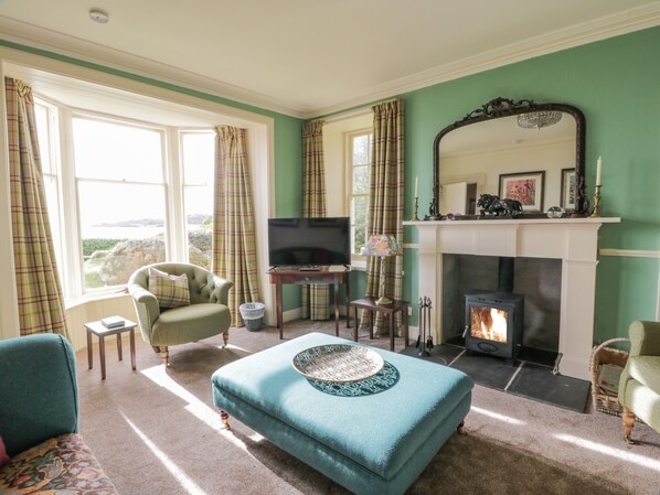 A living room with a fireplace, a television, and a view of the outdoors.