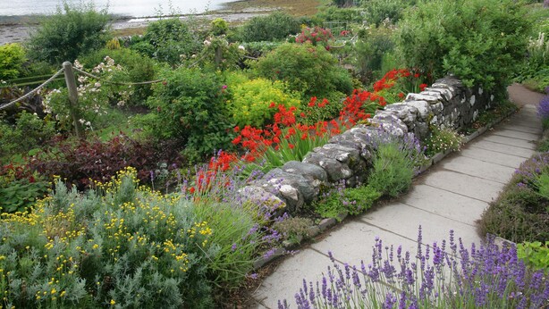 A garden with a stone wall and a concrete path. - Inverewe - Garden Lodge (Achnasheen)