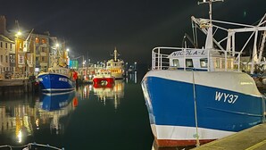 Unclassified image, 5 of 57, button - Seasides (Weymouth)