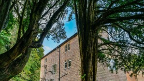 Un edificio in pietra con facciata in mattoni, circondato da vegetazione lussureggiante e alberi imponenti.
