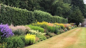 A landscaped garden with a variety of colorful flowers and neatly trimmed hedges. - Beechgrove Cottage - Pitmedden Gardens (Ellon)