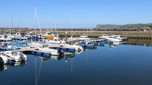 Un puerto deportivo con varias embarcaciones amarradas, agua tranquila y una costa rocosa al fondo.
