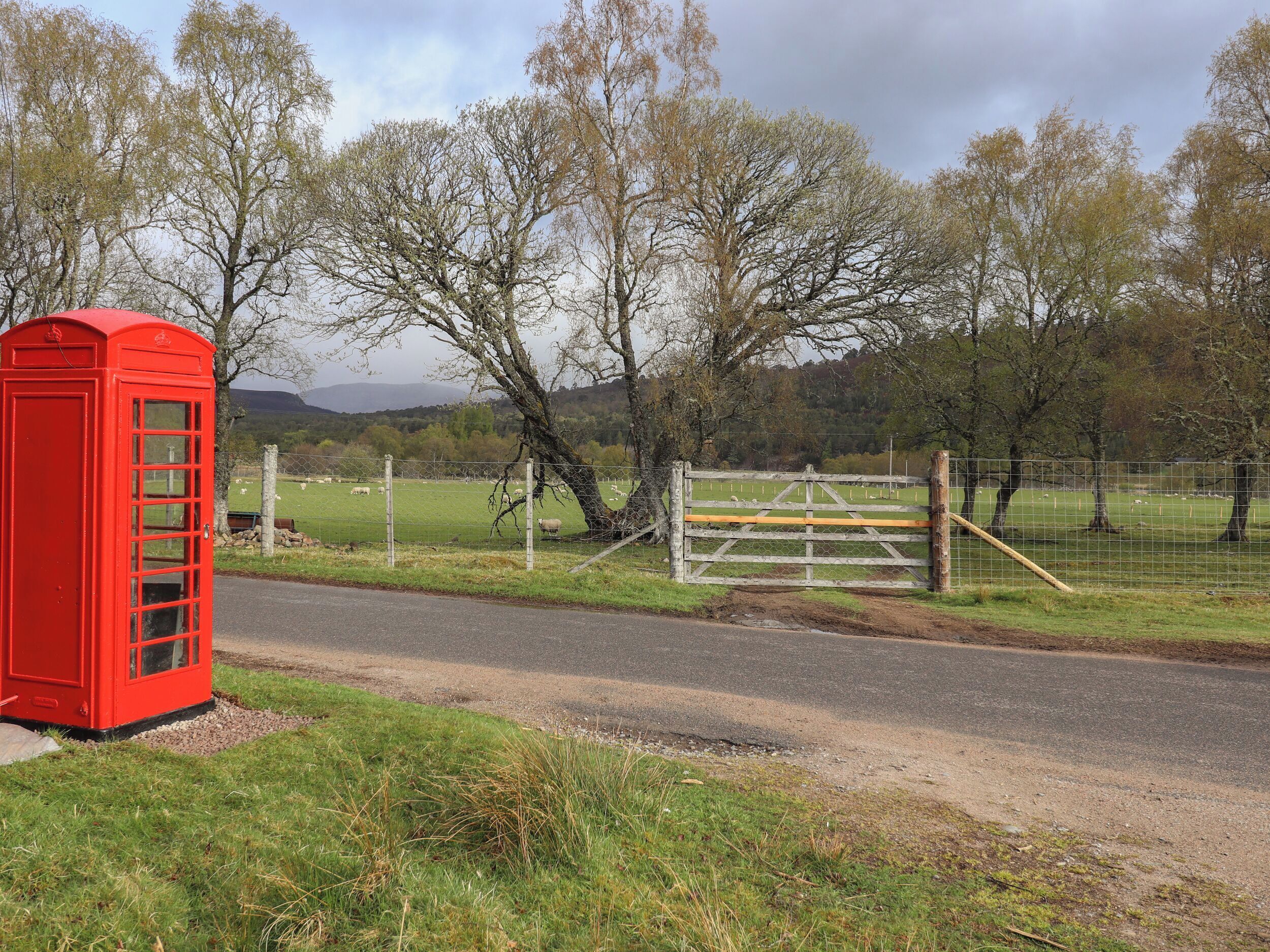 A rural landscape with a red telephone booth, a gate, and a fenced field with sheep.