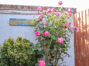 Cottage | Interior - Bay Cosy (Pevensey)