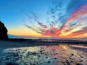 Cottage | Beach - Gecko Beach (Truro)