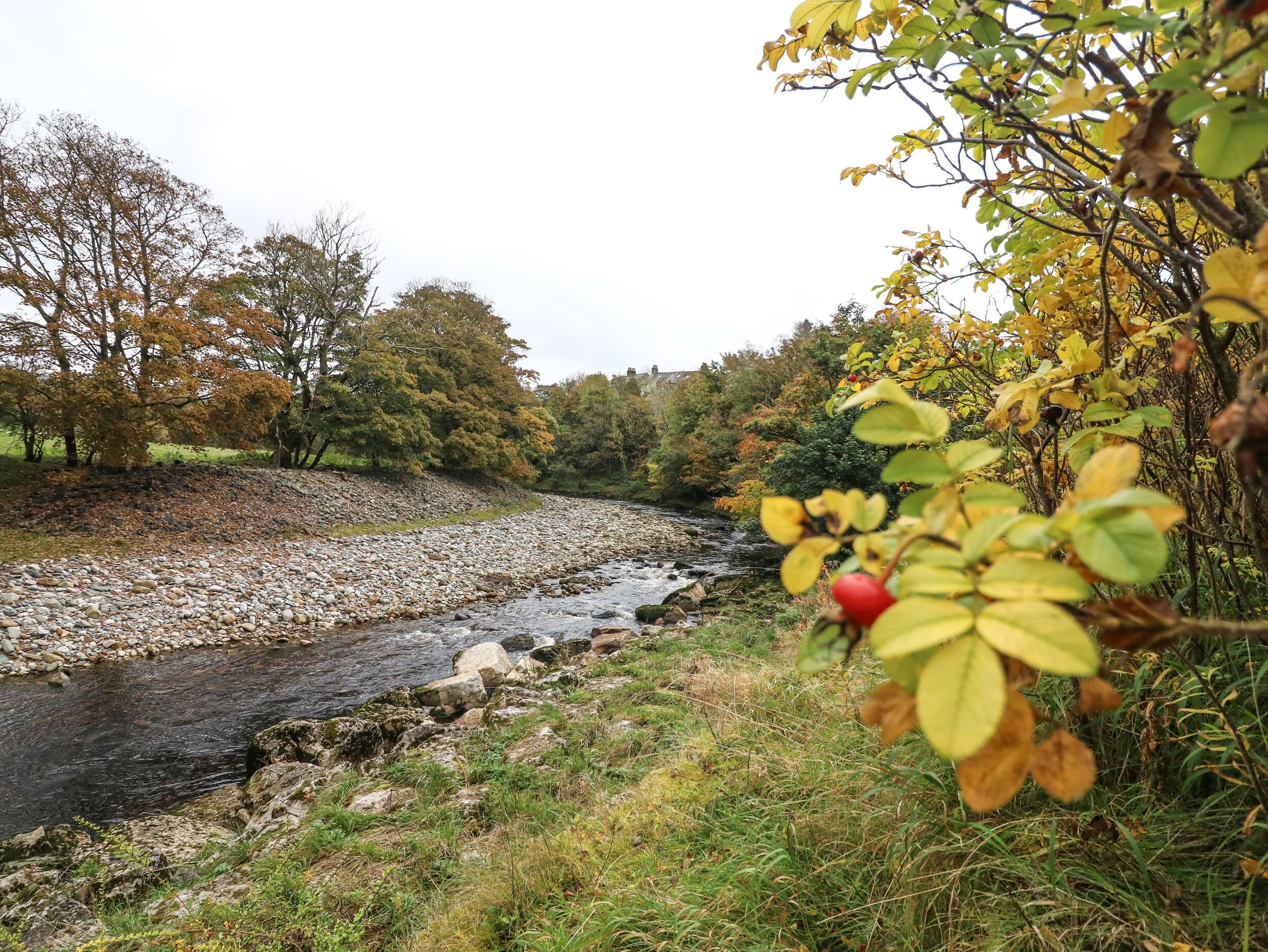 A river flowing through a rocky landscape with trees and vegetation.