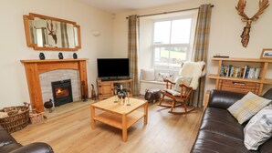 Una sala de estar acogedora con chimenea, televisor, sofá cómodo y estantería.
