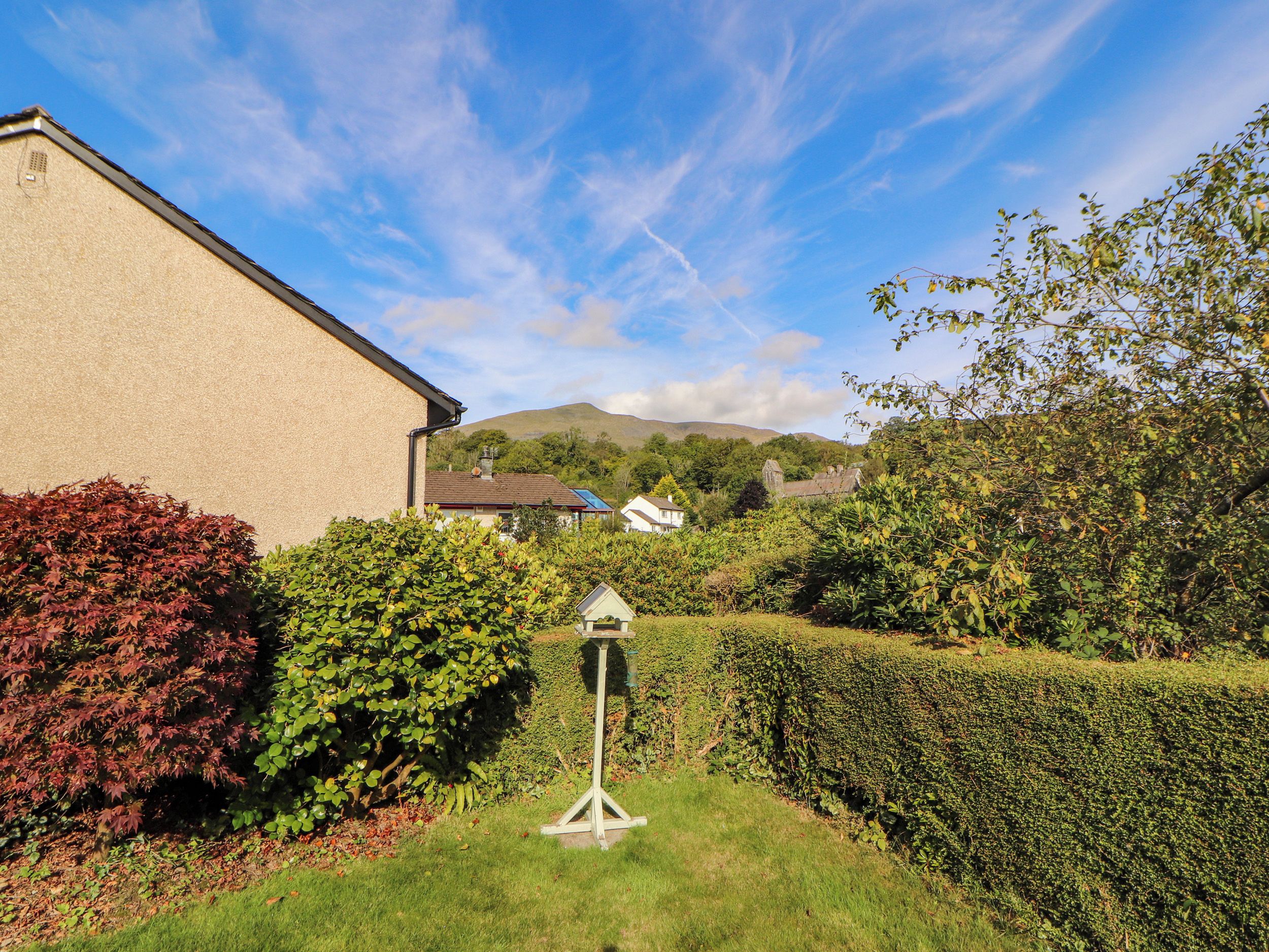 A garden with a hedge, a small tree, and a building in the background.