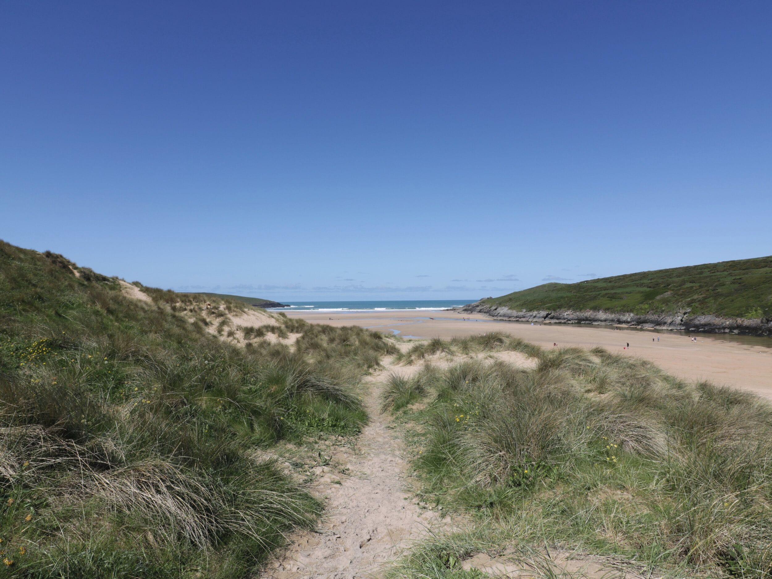 A beach path leading to a sandy beach with dunes and a clear blue sky.