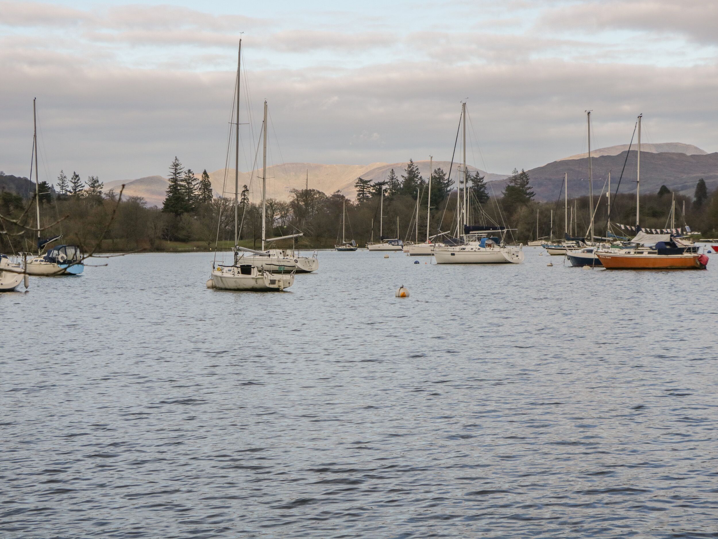 A marina with multiple sailboats docked.