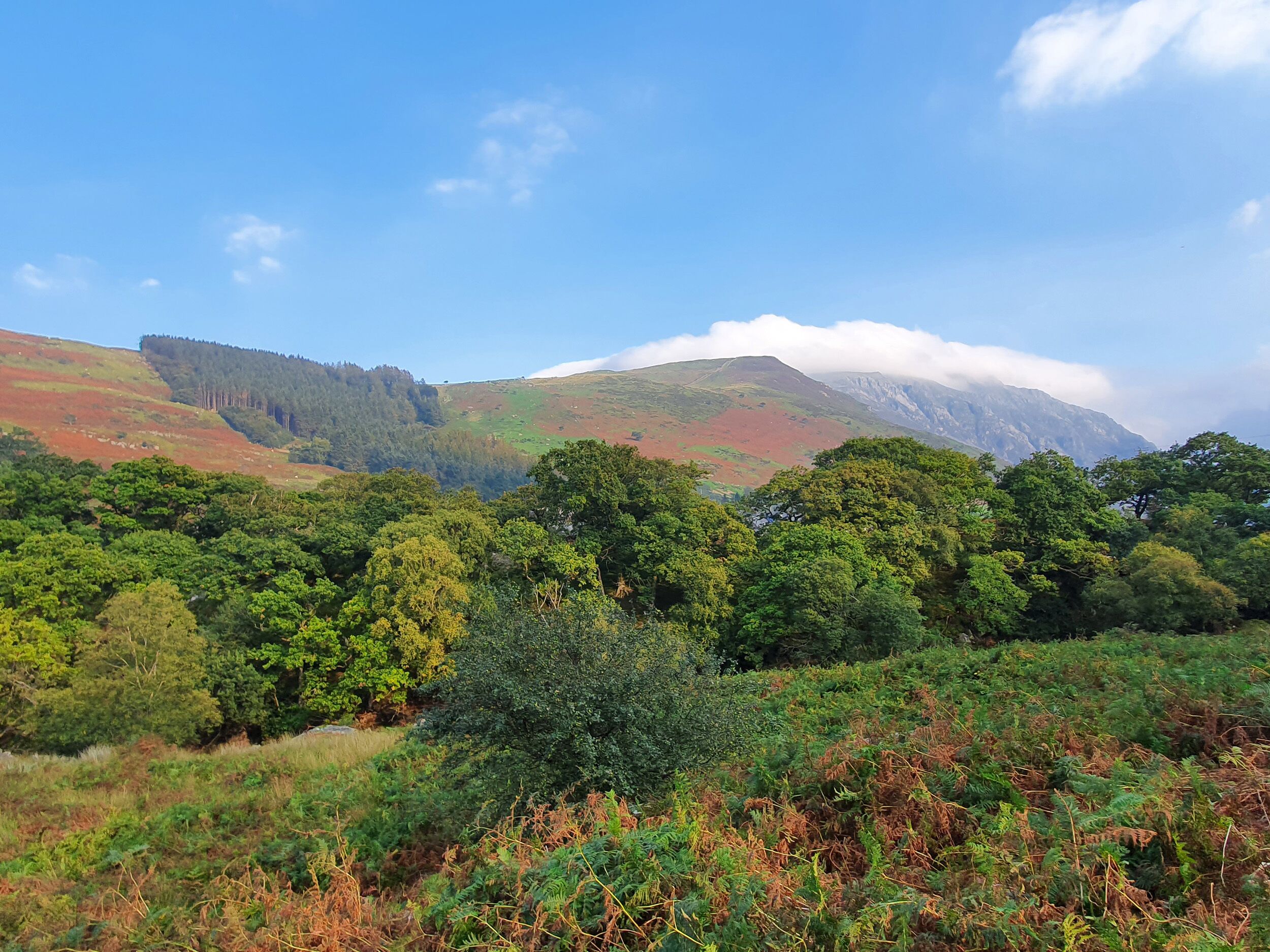 Ferienhaus | Innenbereich