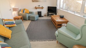 Een moderne woonkamer met een bank, fauteuil en een televisie. Er is een open haard, een vloerkleed en een raam met uitzicht.
