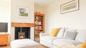 A living room with a fireplace, a sofa, a bookshelf, and a television.