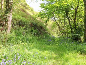 Cottage | Property grounds - Glyn Yr Efail (Cardigan)