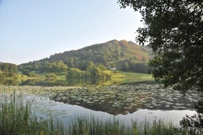 A serene lake with lily pads, surrounded by lush greenery and a hill in the background.