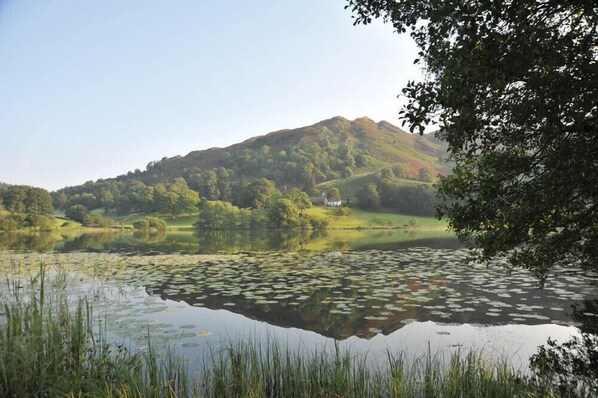 A serene lake with lily pads, surrounded by lush greenery and a hill in the background. - Ramblers Rest (Ambleside)