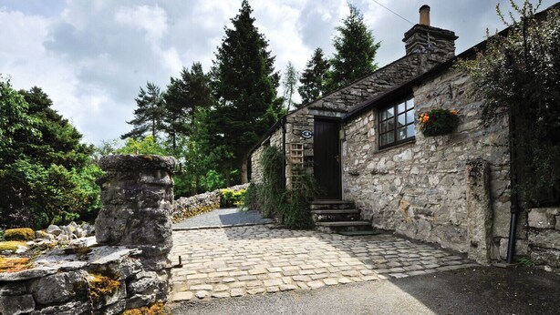 A stone building with a stone staircase leading to a dark entrance, surrounded by greenery and trees.