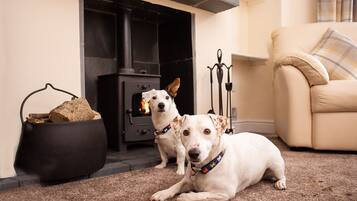 3 soveværelser, individuelt design, individuel indretning, gratis Wi-Fi