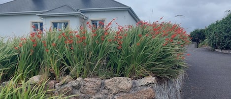 ChaumiÚre | Extérieur