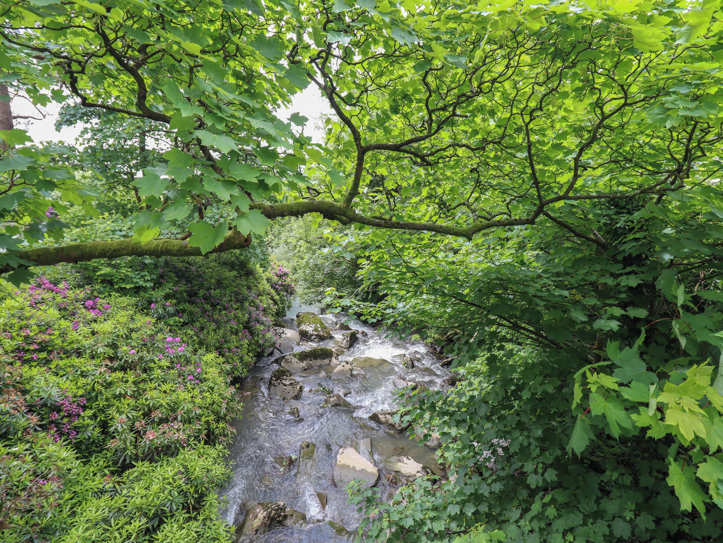 Ein natürlicher Bach fließt durch ein bewaldetes Gebiet mit dichtem Laub und Felsen.