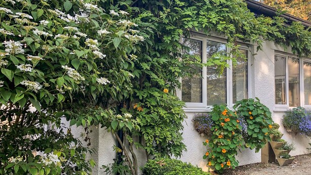 Ein Haus mit weißer Fassade, einem Fenster und einem Garten mit verschiedenen Pflanzen und Blumen.