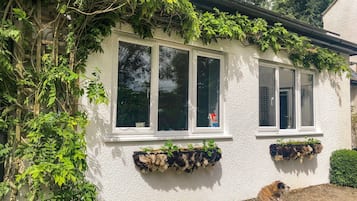 Cottage | Nội thất