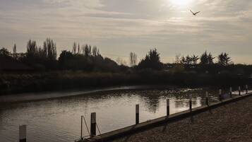 A river with a wooden dock and a bird flying in the sky.