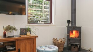 A cozy room with a wooden cabinet, a flat-screen TV, a window with a view of greenery, and a wood-burning stove. - Corner Cottage (Windermere)