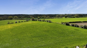 A rural landscape with rolling green fields, scattered trees, and a clear blue sky.