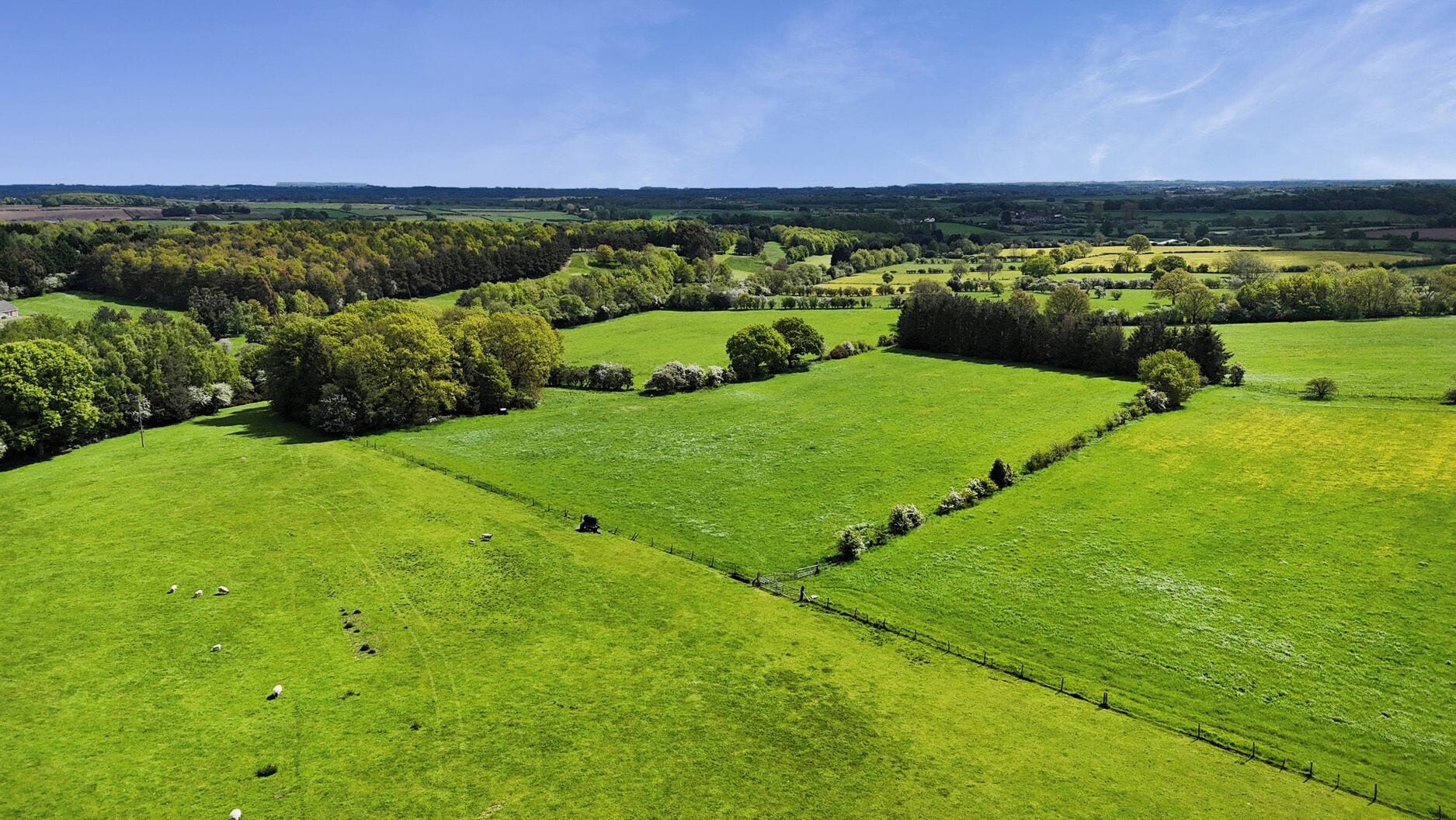 Cottage | Aerial view