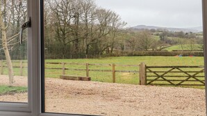 A view through a window of a rural landscape with a gravel path, wooden fences, and trees. - The Outlook (Taunton)