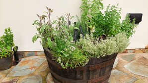 Een grote houten plantenbak gevuld met verschillende kruiden en planten, geplaatst op een terras met stenen bestrating.