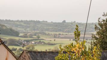 Cottage | Miscellaneous