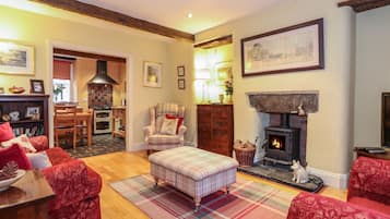 Cottage | Living area | Fireplace, video-game console, DVD player